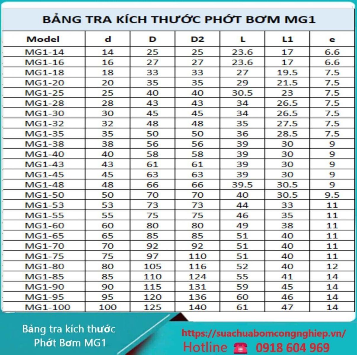 Phớt bơm MG1-18(26).